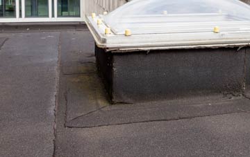 disadvantages of Foreland Fields flat roofs