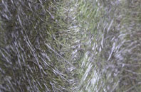 Foreland Fields fibreglass roof work